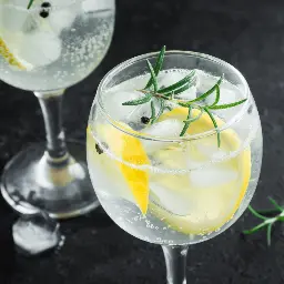 Gin Tônica